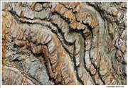 Pre-Cambrian cliff folds 2